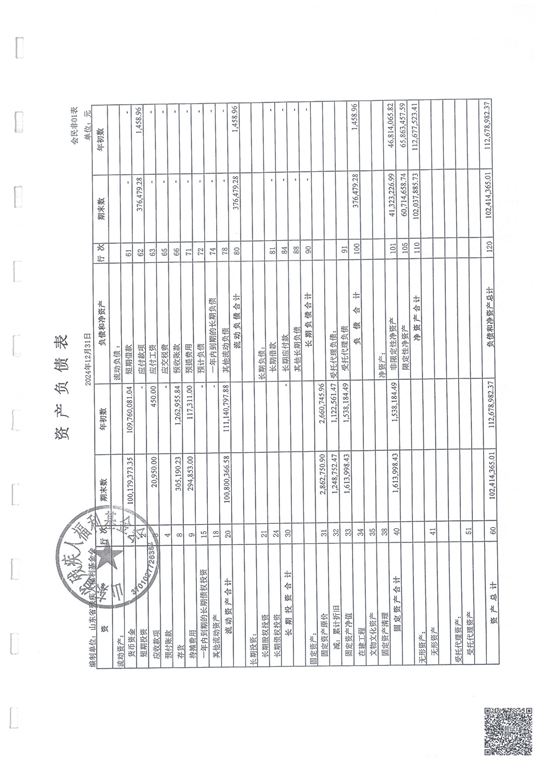 鲁易信会审字[2025]第009号山东省残疾人福利基金会审计报告_07.png