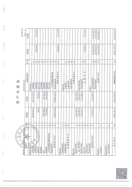鲁易信会审字[2026]第009号山东省残疾人福利基金会审计报告_08.png