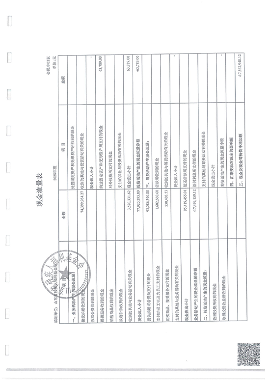 鲁易信会审字[2026]第009号山东省残疾人福利基金会审计报告_10.png